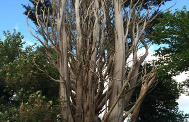 Greencastle - Foto 18