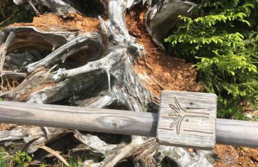 Blackforest Apartment - Foto 34