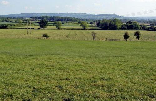 The Dairy - Photo 14