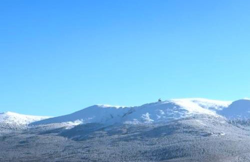 Królewna Śnieżka - Foto 37