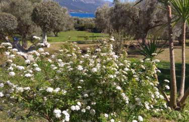 Pogonia Panorama Apartment - Foto 17