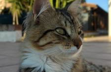 Villa Maddalena guest house - Photo 45