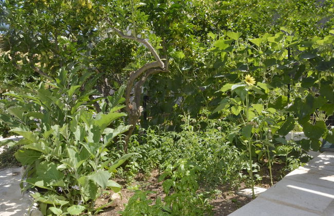 La Casa Siciliana - Photo 17