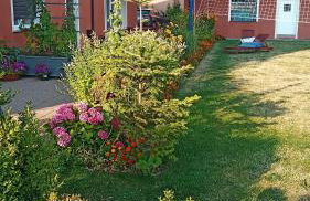 Willa Rubin - Foto 45