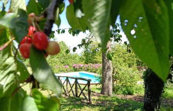 Valle del Tione-prenotazioni singole- - Foto 14