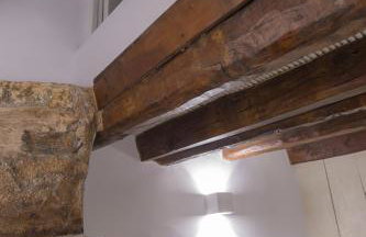 SempreViva - Foto 62