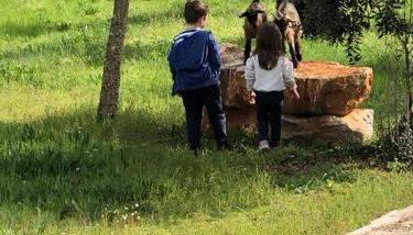 Casas da Ladeia - Villa 2 - Foto 2