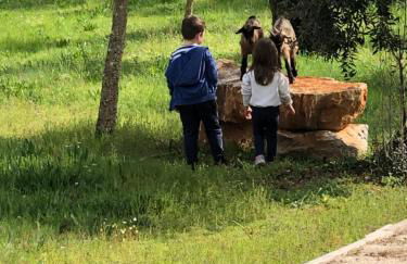 Casas da Ladeia - Villa 1 - Foto 28