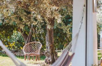 Monte do Pomar - Foto 24