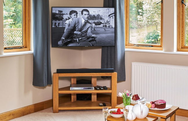 Swifts Return in Lower Ashton - Foto 15