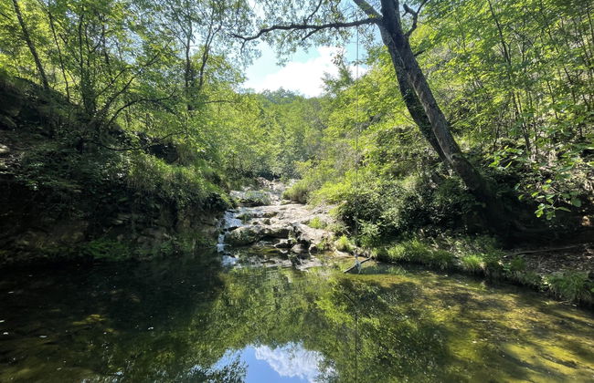 3 bedroom Apartment in Prelà with garden and terrace - Photo 17