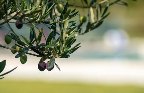 Holiday Home Moderne Villa bei Barban by Interhome - Foto 27