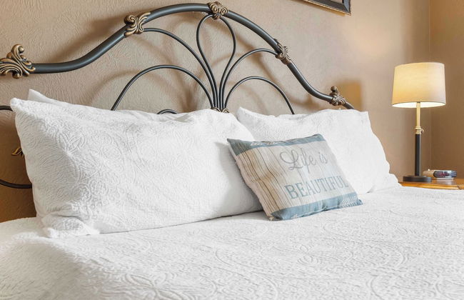 Blue Bird Hideaway - Near Silver Dollar City - Photo 2