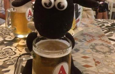 Anthis Studios - Foto 44