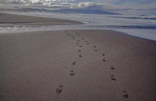 Alojamento CANTO NA RELVA - Photo 38