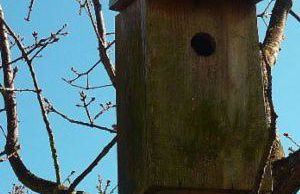 Quinta das Mineirinhas - Foto 26