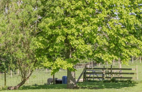 Danby Cottage - Photo 43