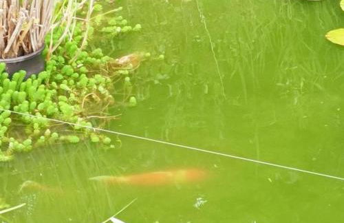 Gîte tout confort avec grand jardin, cheminée, clim et WIFI, proche châteaux de la Loire et ZooParc de Beauval - FR-1-491-400 - Photo 15