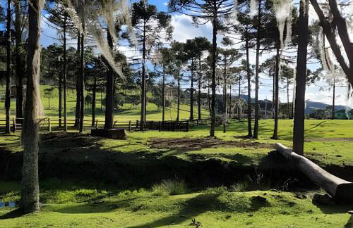 Cabana Pequeno Bosque som dás Águas - Foto 48