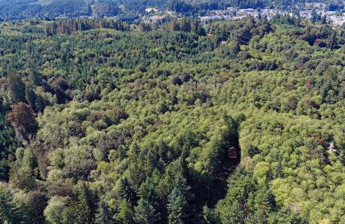 30 Peaceful Acres - Foto 33