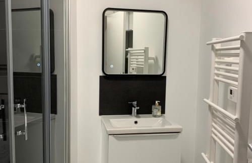 Appartement 4 PERSONNES EMPLACEMENT IDEAL PROCHE DES 24H ET GARE - Foto 6