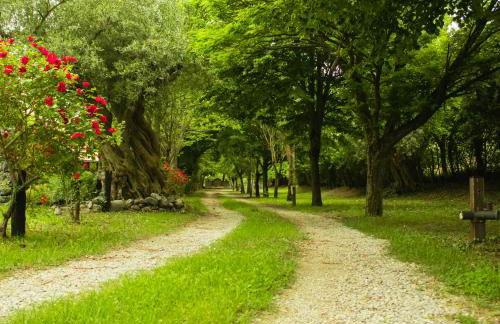 CicloPark Morano Calabro - Photo 26