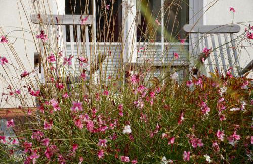 Ferienhaus Windrose - Foto 5