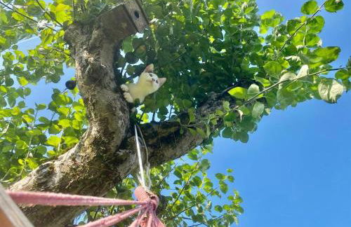 The Vikings Retreat - Foto 22