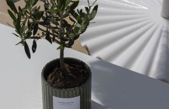 Résidence Omigna - Foto 22