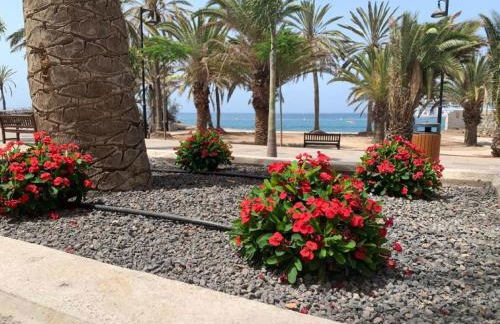 Royal View Apartment - Los Cristianos - Foto 73