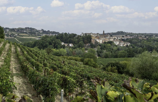 Villa Carlotta - Foto 42