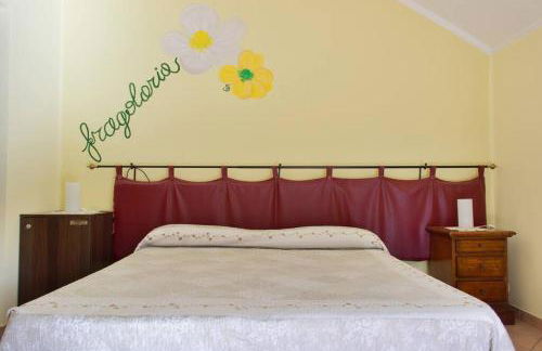 Agriturismo a Canonica - Foto 55