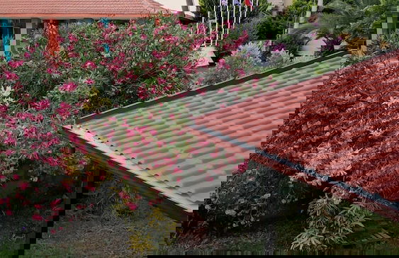 The Palm Apart Sarigerme - Foto 70