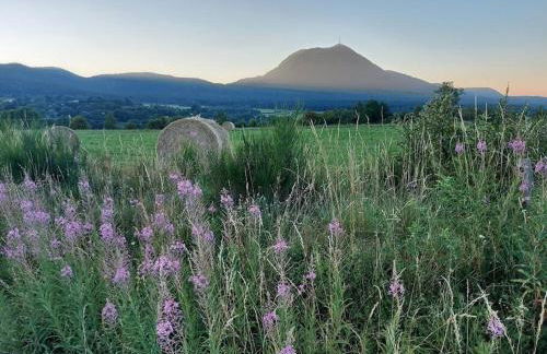 L'Amphithéâtre des Volcans - Vue Puy de Dôme - Foto 24