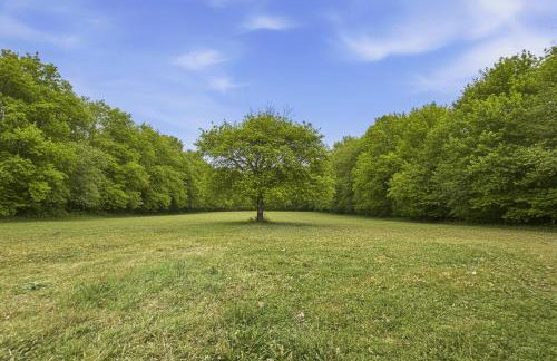 T3 familial avec piscine et parking, résidentiel - Foto 20