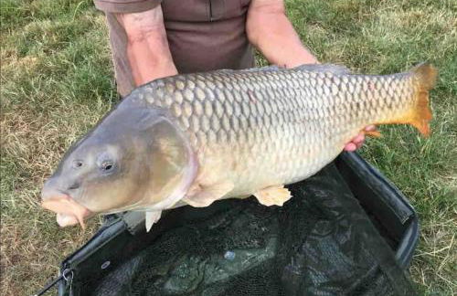 Nestledstays - The Barn House With Hot Tub - Foto 18