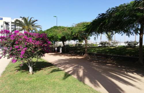 Apartamento La Marina-Ciudad Jardin - Foto 26