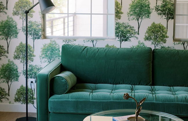 Cation on the Guadalupe - Foto 55