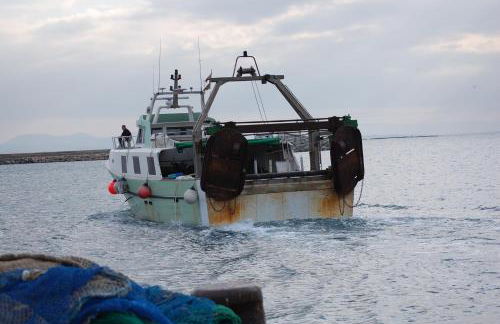 1089 Puig Rom - Apivend Immo - Foto 30