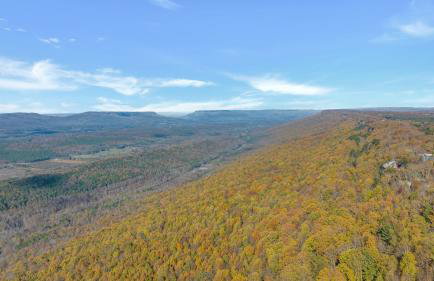 The Lodge in Mentone - Foto 48