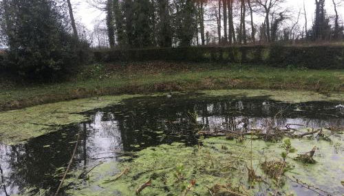 le colombier de Royaumont - Photo 3