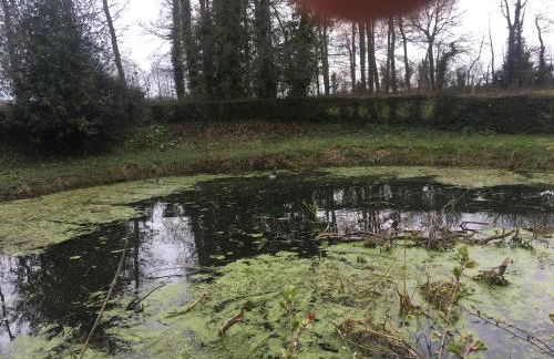 le colombier de Royaumont - Photo 3