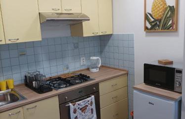 Fenix studio apartment, Zagreb - Foto 10