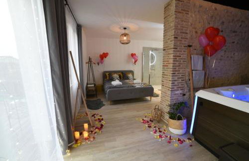 Eaudyssée maison avec SPA privée - Loiret - Photo 8