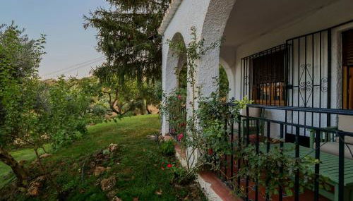 Villa Ricardo - Foto 3, Garden