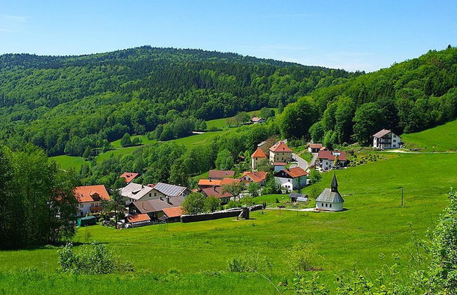 Comfortable Apartment in Zenting in Lower Bavaria - Foto 30