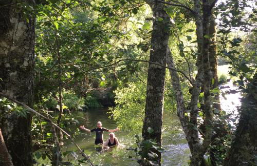 O Muíño da Balsiña - Foto 37