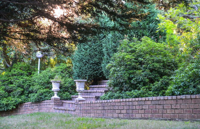 Chatelaine Valley Views - Photo 30