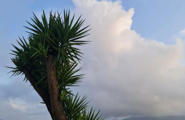 ONOMY Country House Vathypetro - Foto 10