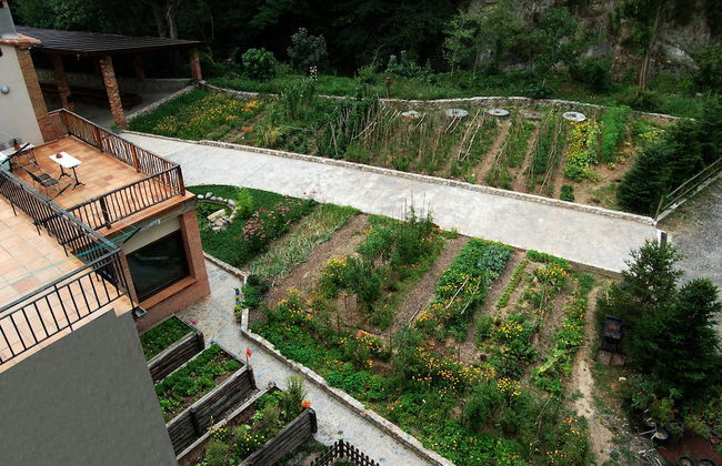 Moli del Caso - Photo 15